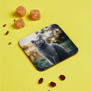 Photo Coasters