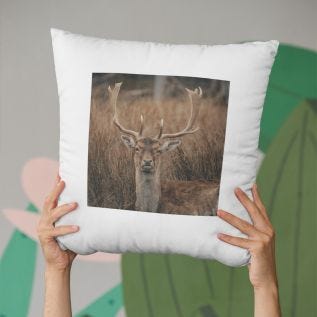 Suede Photo Cushion (16") - 2 Colours