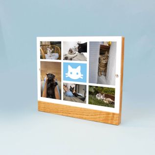 colour_collage_acrylic_wooden_block_engraved.jpg