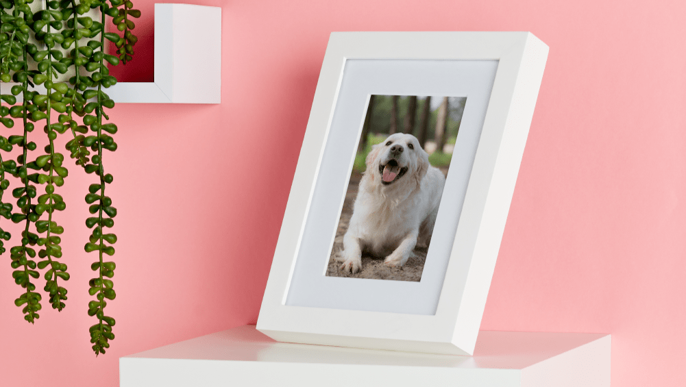 framed photo print on a tabletop