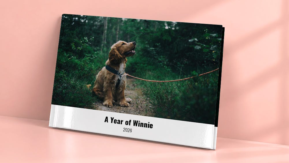 memory photo book theme